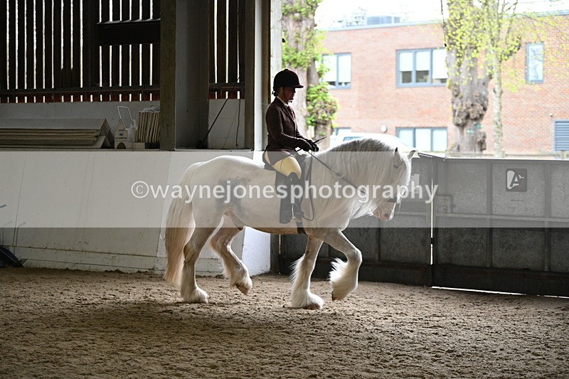 WJ7_3765 - Class 17 Ridden Cob