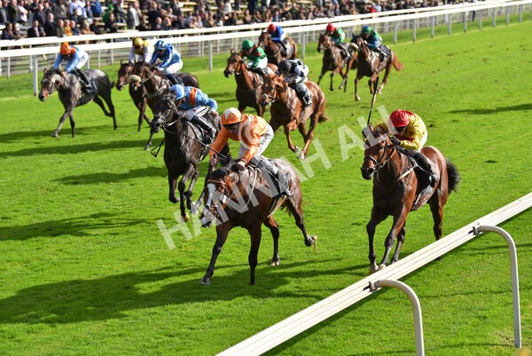 yr07102022r3-27 - Race 3 3.15pm British EBF £100,000 2yo Series Final (Colts and Geldings)