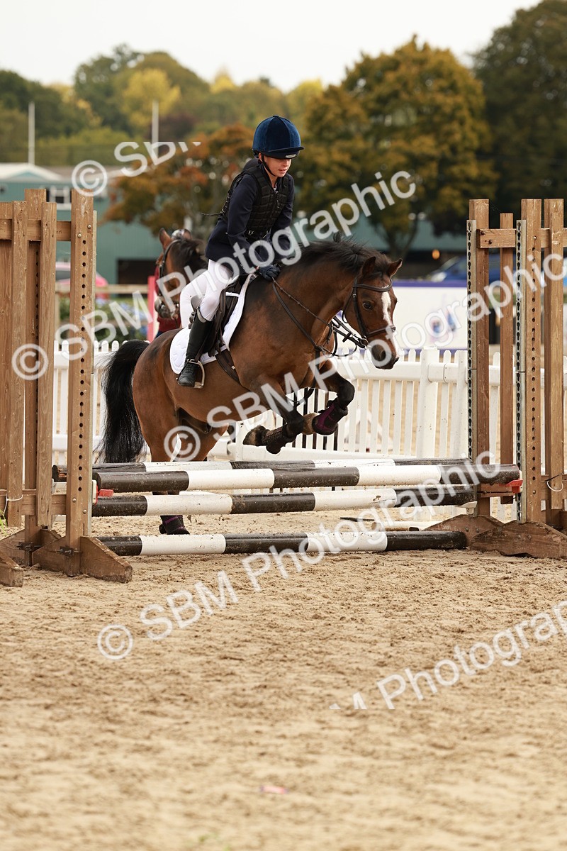 SBM_57786 - J11 - Junior Pony 50cm Championship