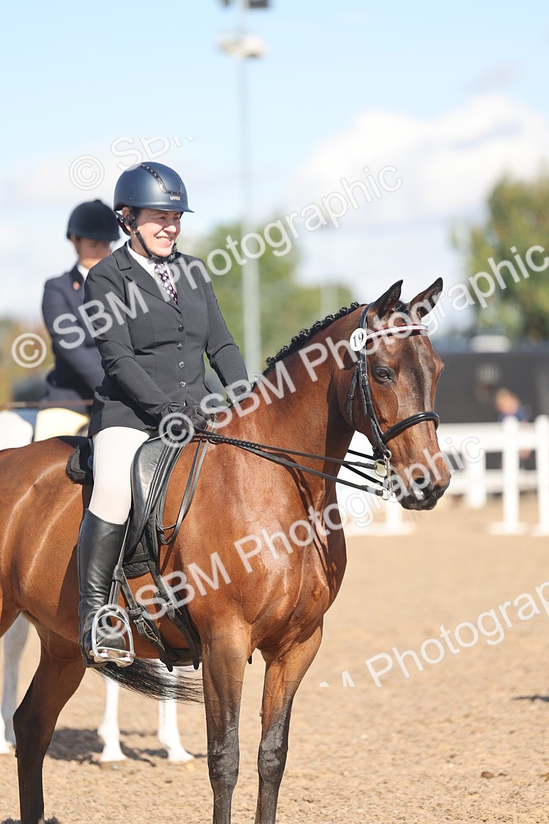 SBM_13097 - Class 305 - Ridden Foreign Breed Pure Bred