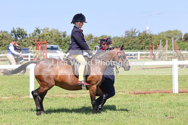 IMG_2203 - Class 36: Part Bred Ridden M & M