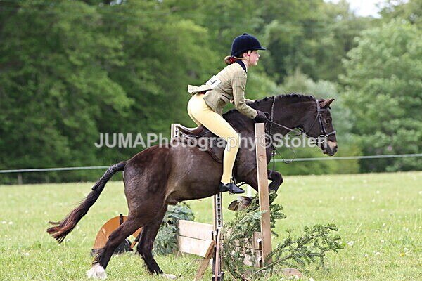 IMG_2583 - Working Hunter