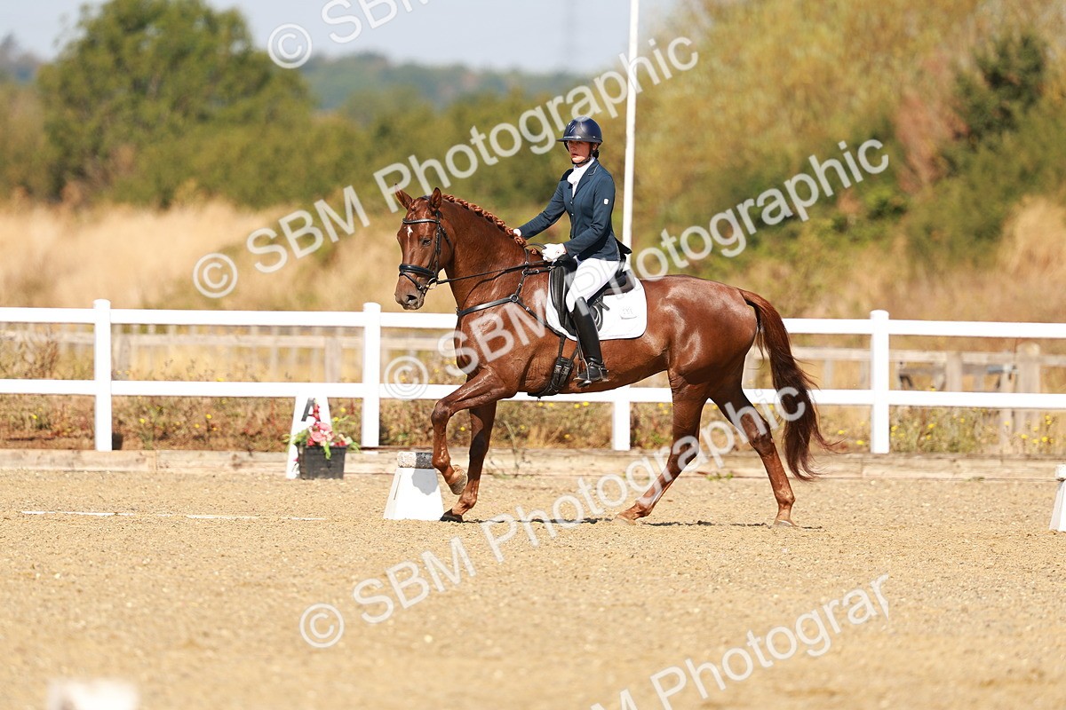 SBM_017536 - Class 9 - N5 Bronze 10.33.11.36