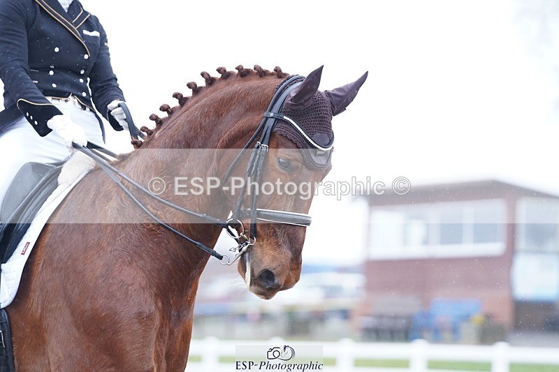 250215-134132-04151 - 234-Hayley.Watson-Greaves-Lamborghini