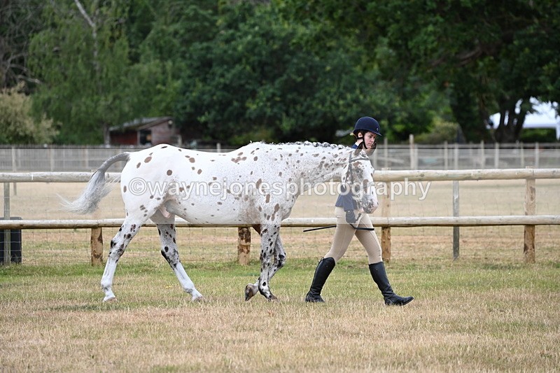 WJ6_4131 - Class 10 Coloured In-hand