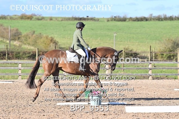 BPP_9553 - SHORT ARENA