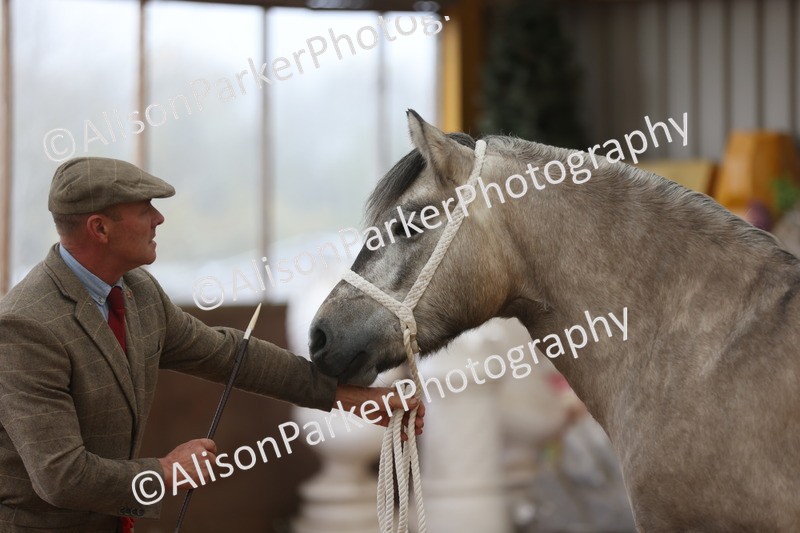 20251109-0970 - Class 26 - 2 and 4 Year Olds