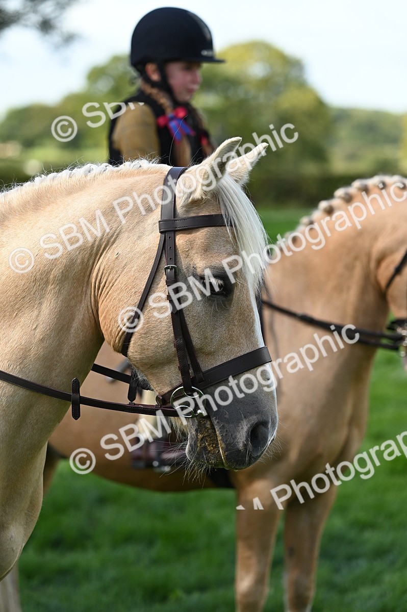 SBM_02835 - S3 - TSR Ridden Pony Showing