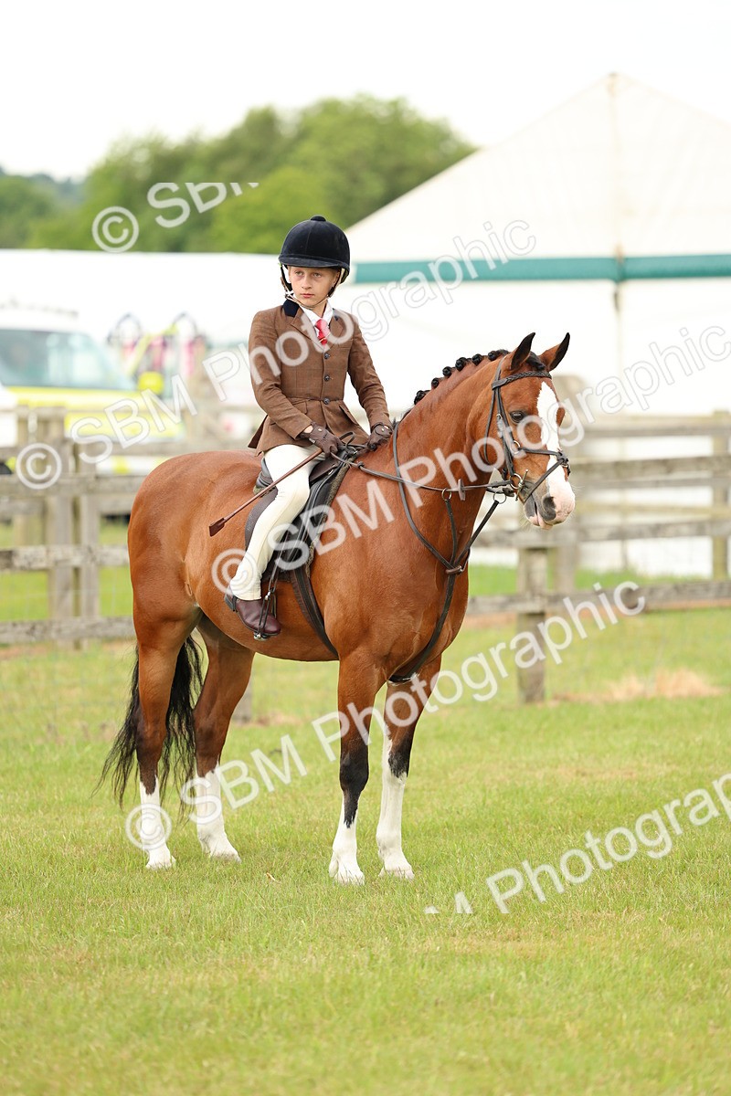 SBM_10376 - Class 44-45 - LIHS BSPS Open Nursery and Cradle Stakes