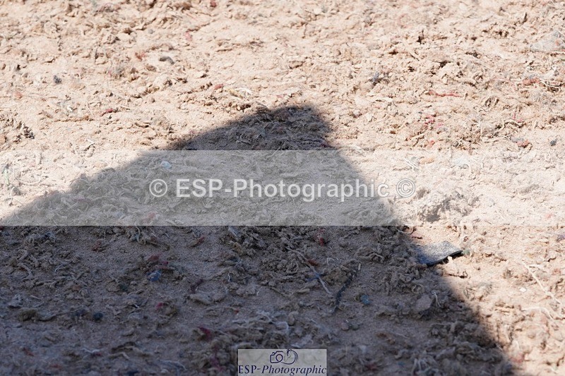 250503-134204-01158 - Cls 27 Stepping Stones