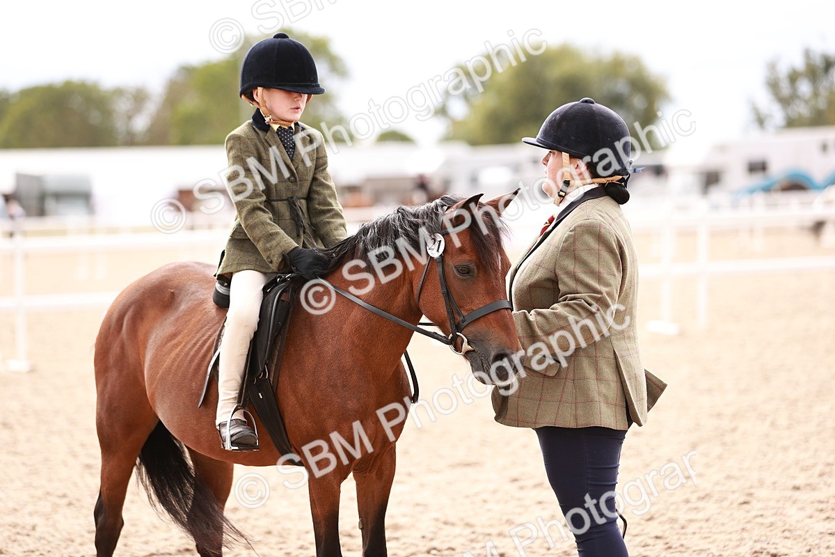 SBM_18260 - Class 416 - Prettiest Mare (IH or Ridden)Jnr