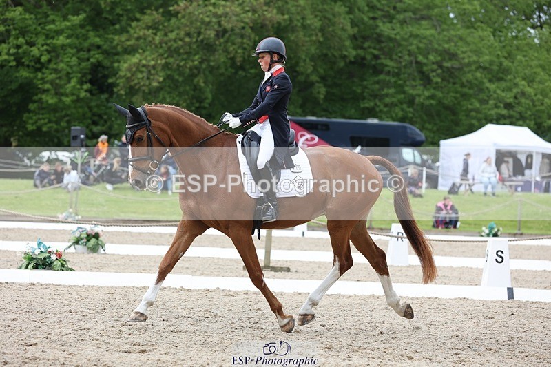 240523-150206-03003 - 233-SILVESTERS_FINESSE-Rosalind_Canter