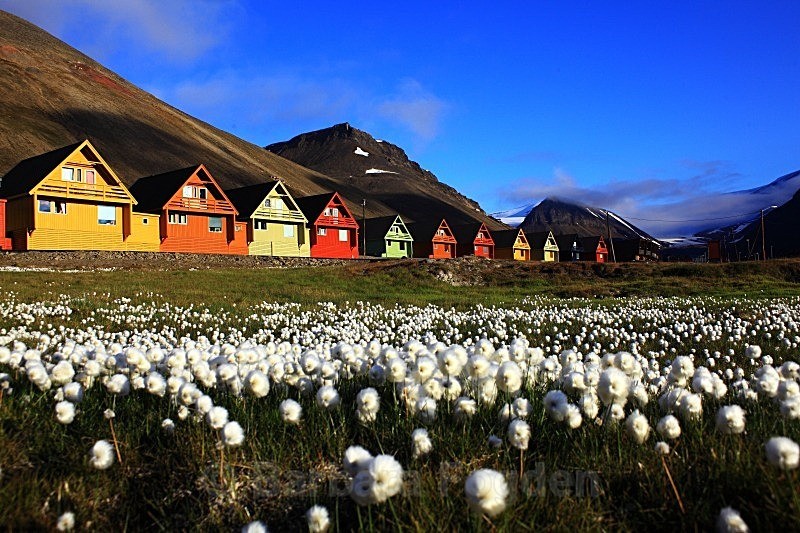 Longyearbyen 3324 - Colours of Svalbard