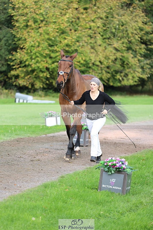 251026A-114904-25697 - G-514-Carolyn.Price With Trot Up