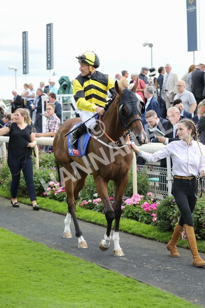 yr17082022r5-14 - Race 5 4.10pm Sky Bet Stayers Stakes