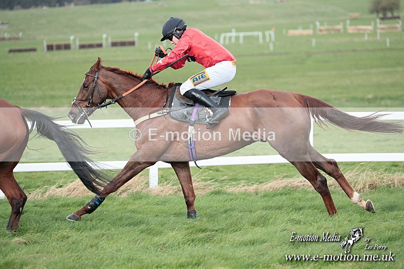 PtP 230324 454 - Tedworth Hunt PtP Larkhill Raccourse 23rd March 2024