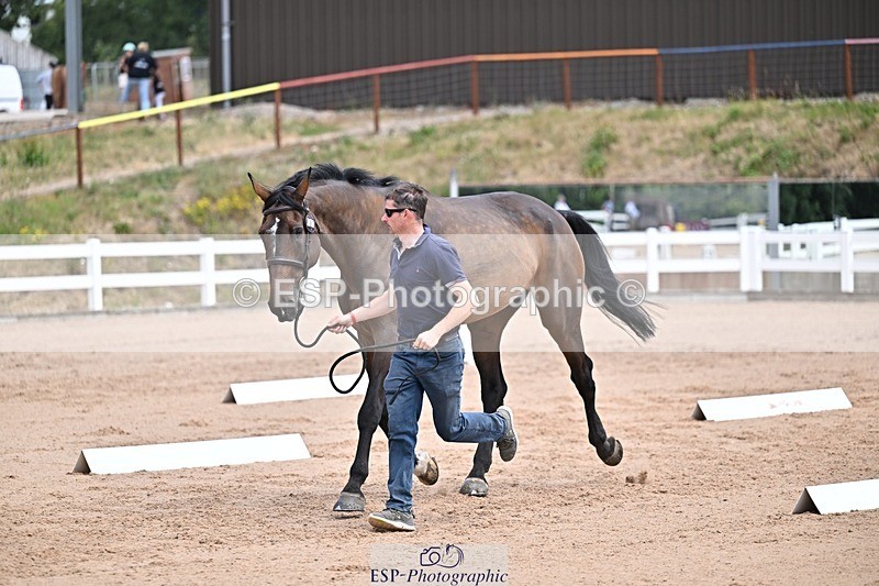 250716-130727-00348 - Trot Up 12.30 to 1.30