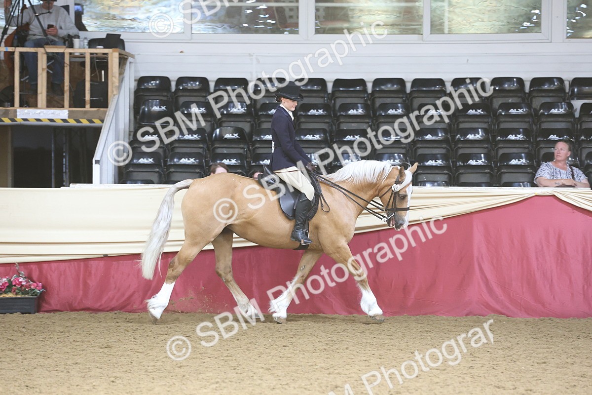 SBM_23778 - class 906 - Supreme Final - Ridden Pre Vet