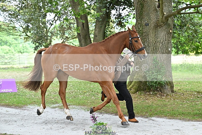 250521A-144913-00264 - A-062-Finn.Healy-GREANNANSTOWN.MONBEG.JOE