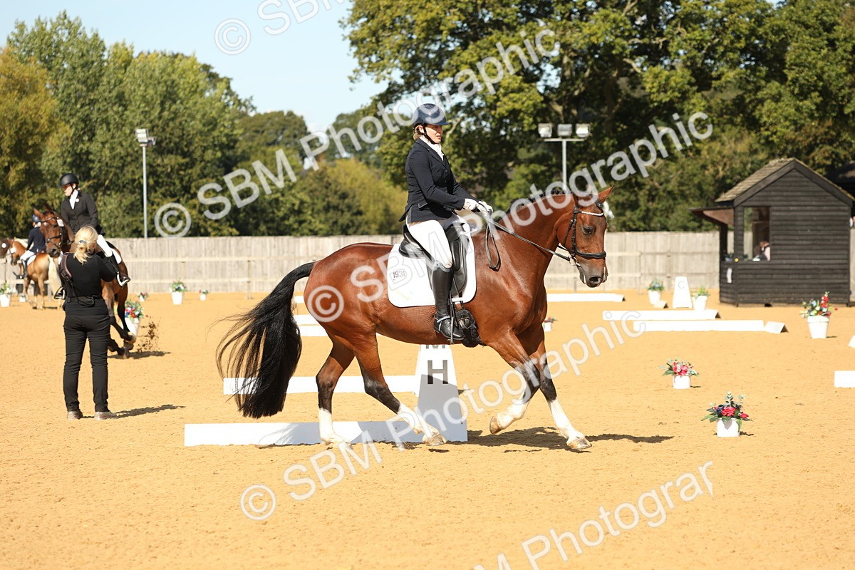 SBM_24527 - D17 - Grand Tour Championship - Novice 27