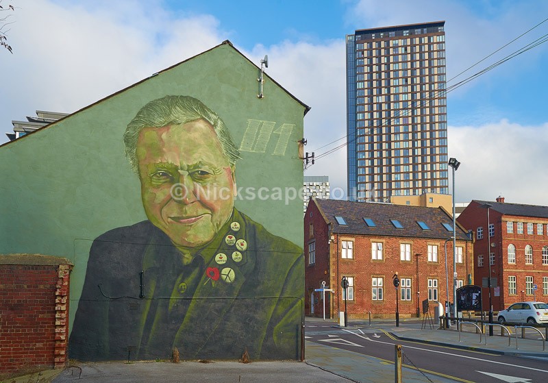 David Attenborough Wall Mural Sheffield Yorkshire