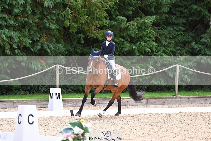 240809-121142-00698 - 211-Amelia.Dovey-Caederwen.Lady.Elinor