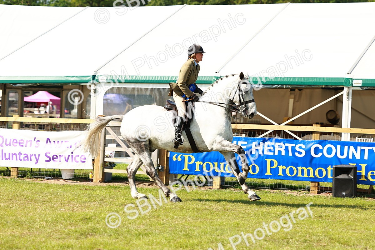 SBM_11938 - Class 66-69 - RIHS Ridden Hunters Inc Small Hunter