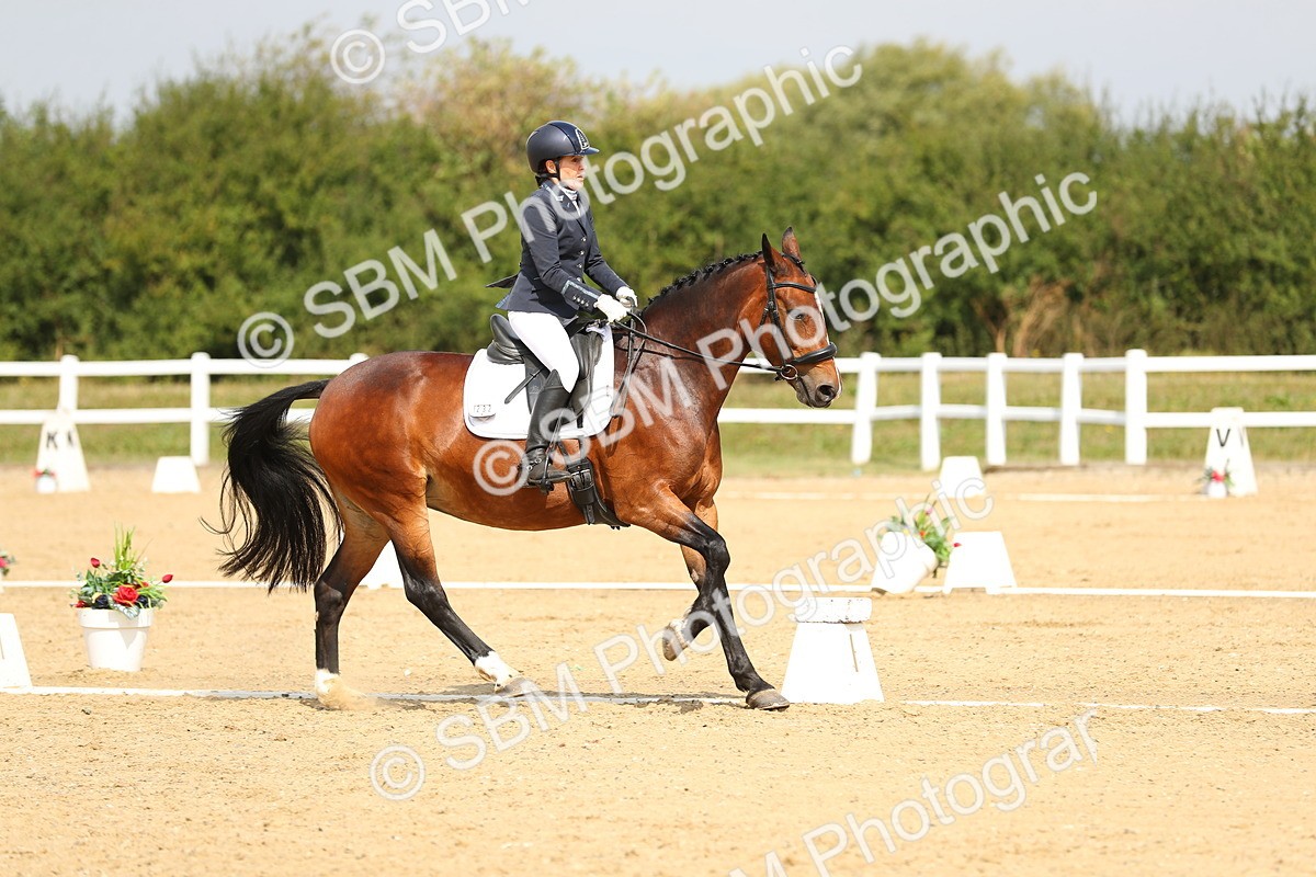 SBM_016475 - Class 13 - Novice 23 - 11.25-12.35