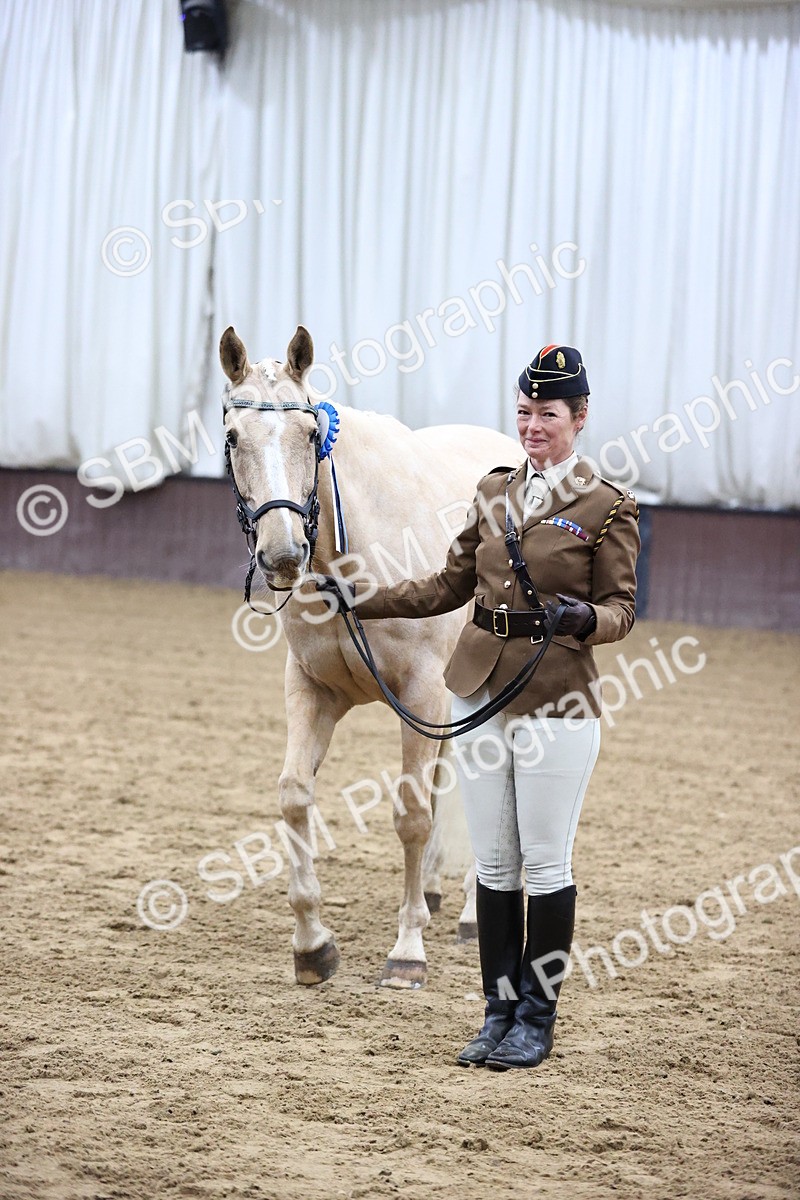 SBM_5228 - Class 39 - In Hand Gelding