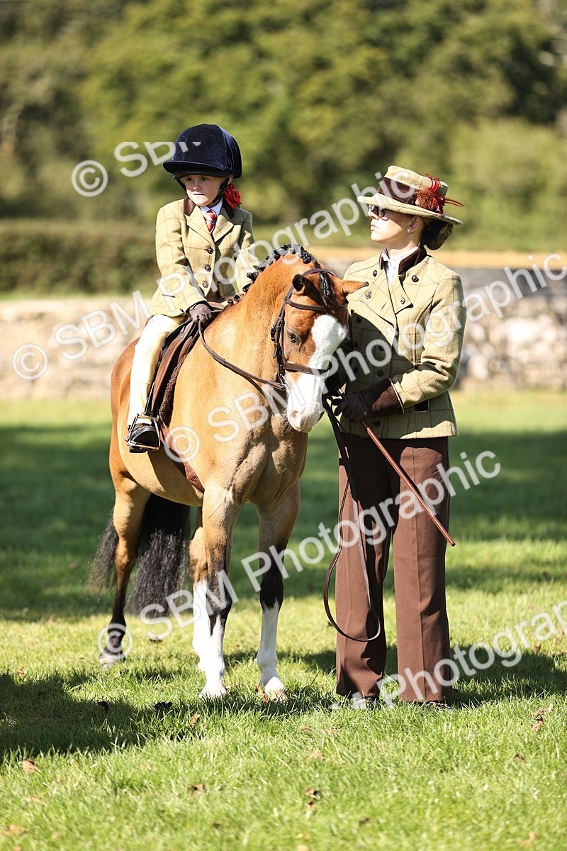 SBM_19364 - S3 - TSR Ridden Pony Showing
