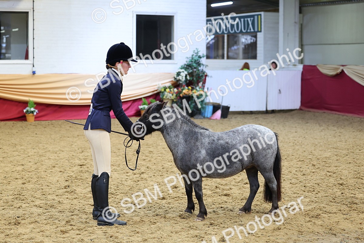 SBM_22854 - Class 903 - Supreme Final - IH Pre Vet