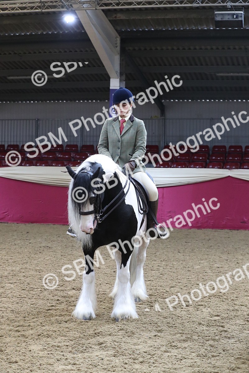 SBM_10457 - Class 102 Equitation (best rider) Adult