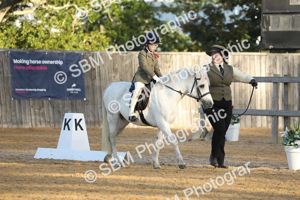 SBM_33589 - D26 - Starers - Lead Rein