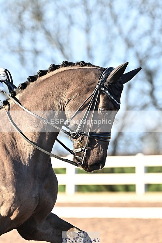 241214-143258-02876 - 139-Holly.Kerslake-Platinum.Cabachon