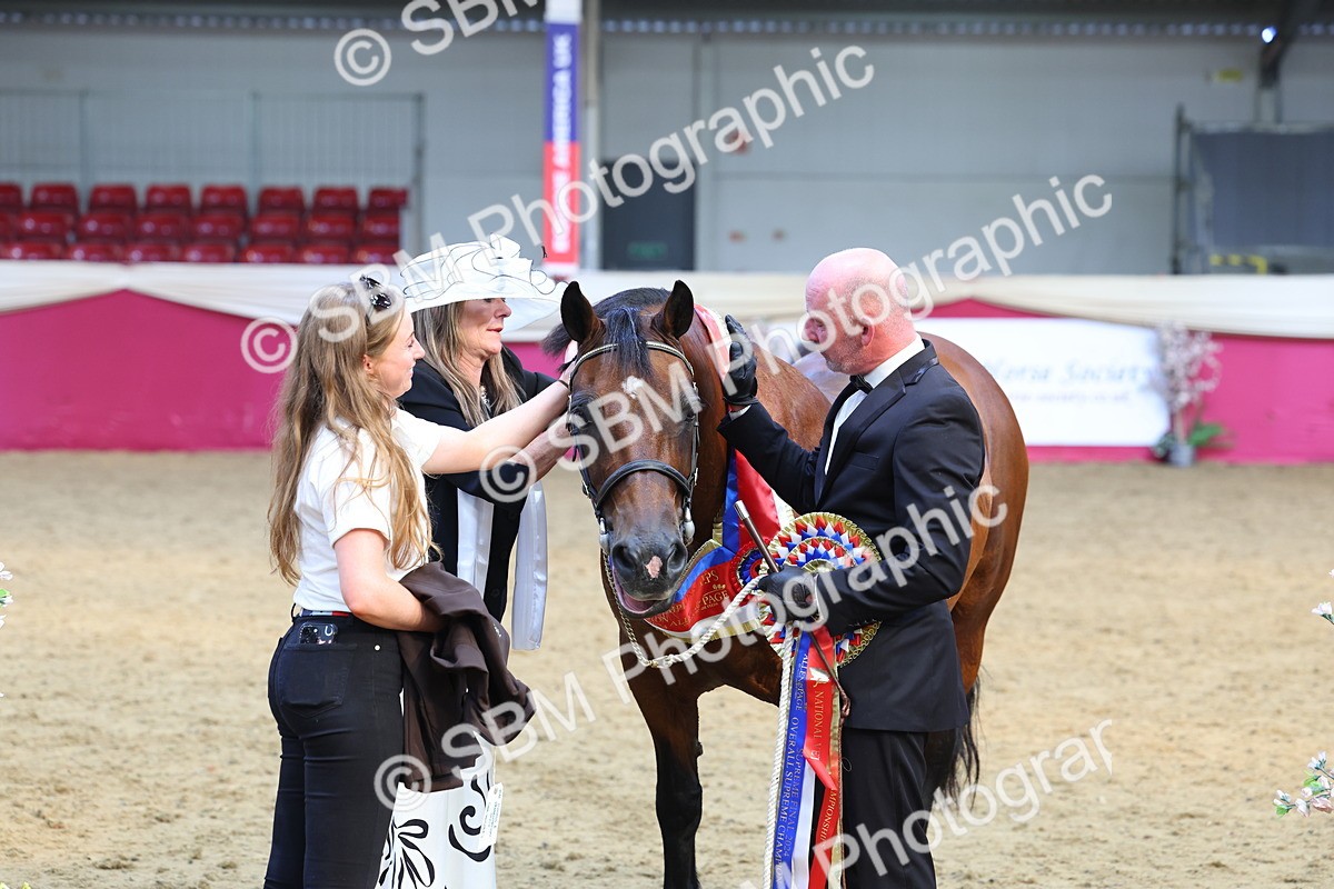 SBM_24995 - Grand Supreme Final Overall Champion