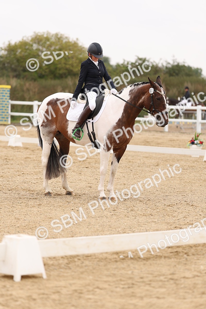 SBM_01681 - Class 9 - Novice 27 Champs