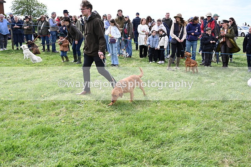 WJ6_8301 - Class 4 Prettiest Bitch