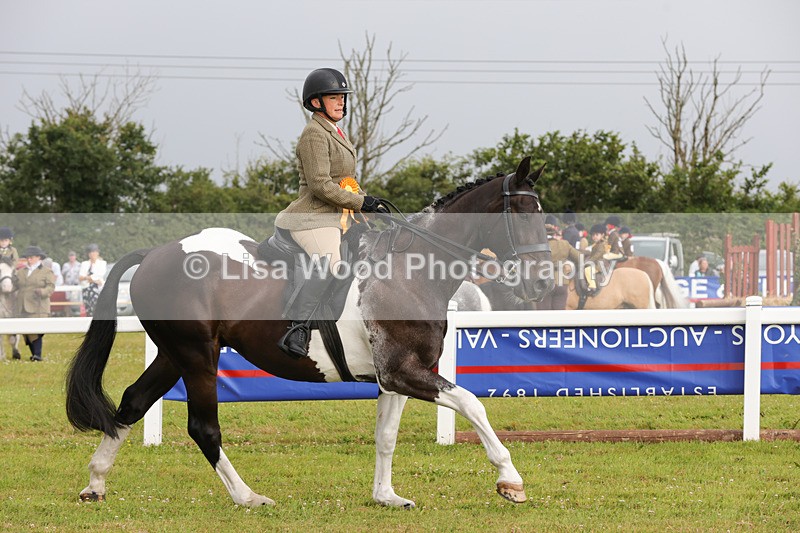 1X9A2969 - Class 25: Ridden Plaited Coloured Horse