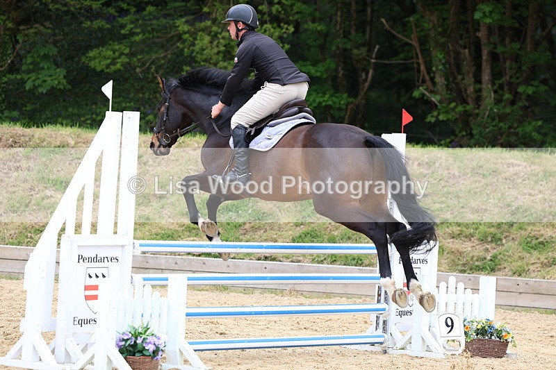 3E7A6032 - Class 4: Senior British Novice/90cm open