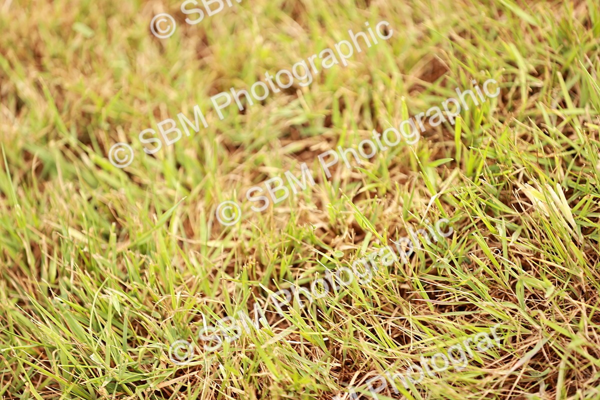 SBM_04598 - Class 5-8 - BSPA In hand