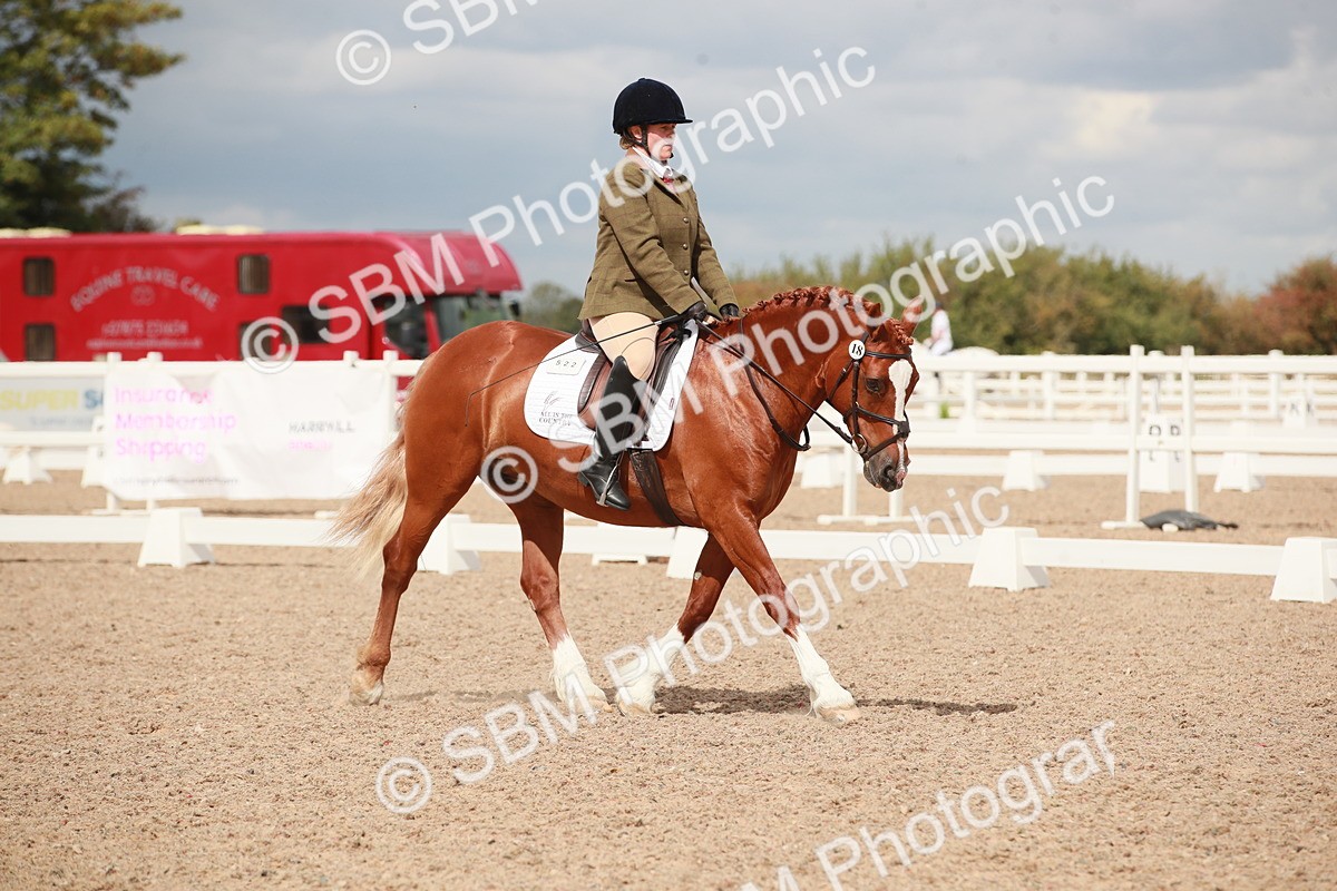 SBM_05872 - Class 32 - Novice 1