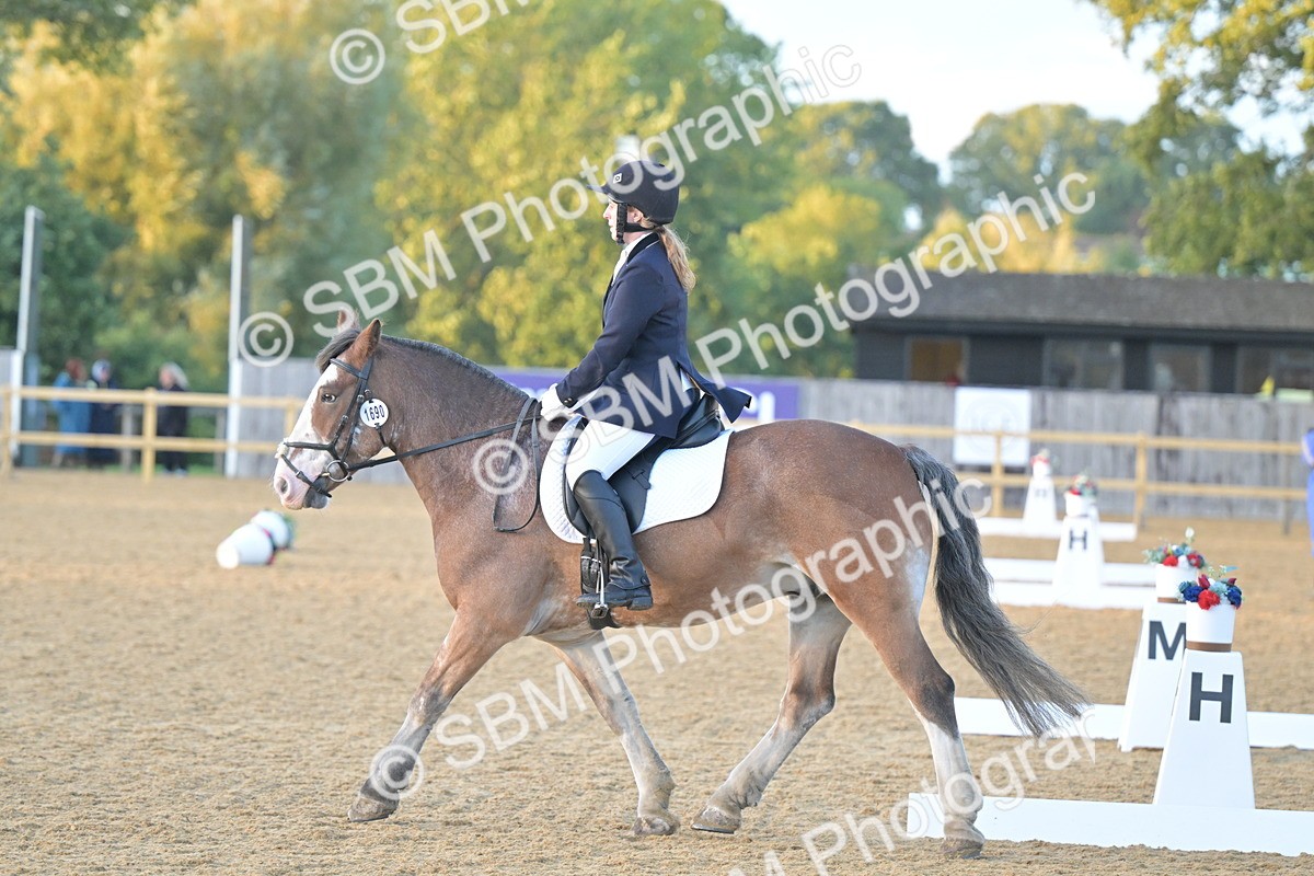 SBM_13542 - D3 - Small Tour Championship Intro 3