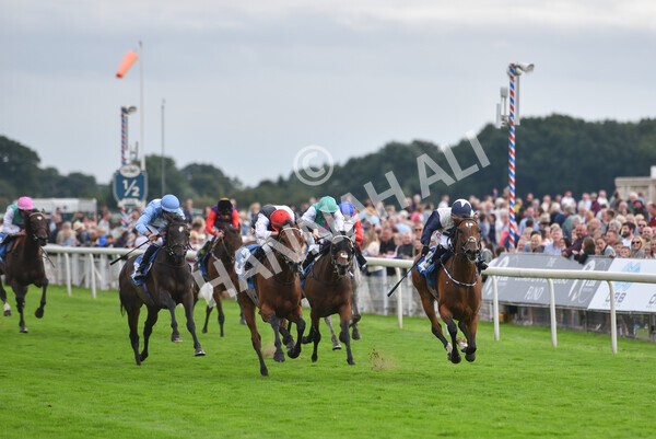 yr19082021r6-19 - Race 6 4.45pm British EBF & Sir Henry Cecil Galtres Stakes