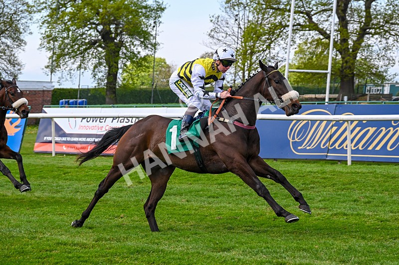 020526-Race 1-Arapaho Gold-8933 - Race 1 1.35pm Steve Poskitt's 60th Birthday Restricted Maiden Stakes