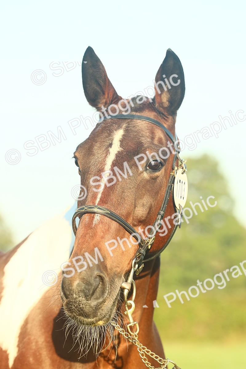 SBM_56595 - S36 - Starters Best Turnout