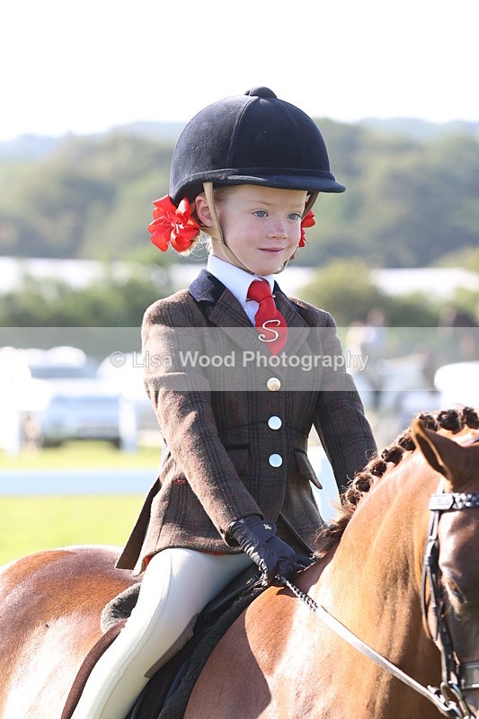 JPP_0728 - Class 16: Cornish Combination Leading Rein
