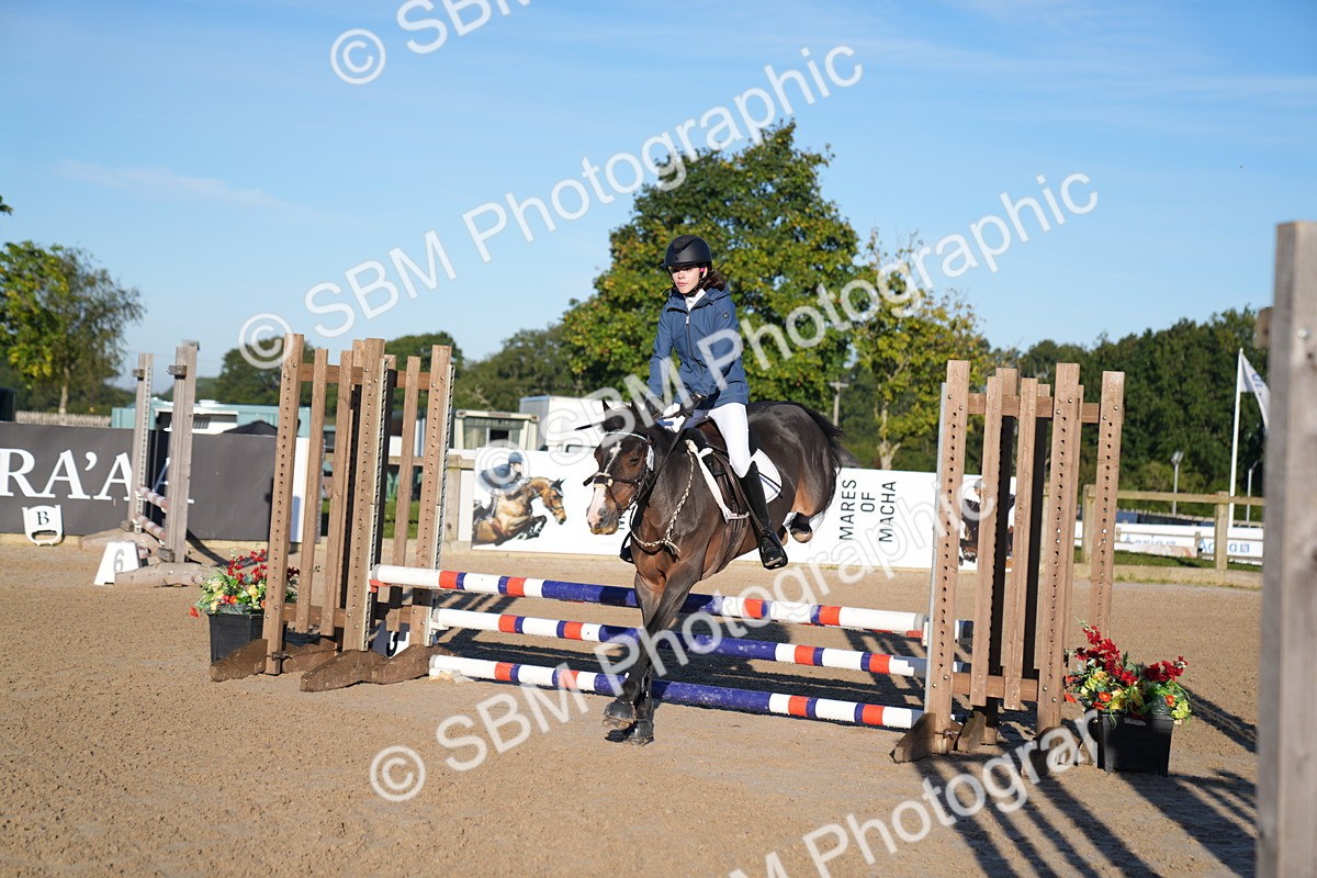 SBM_13992 - J59 - Clear Round - 65cm