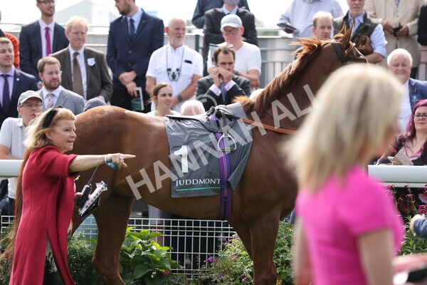 yr18082021r4-4 - Race 4 3.35pm Juddmonte International Stakes (British Champion Series race)