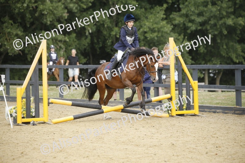 20250622-3630 - 50cm