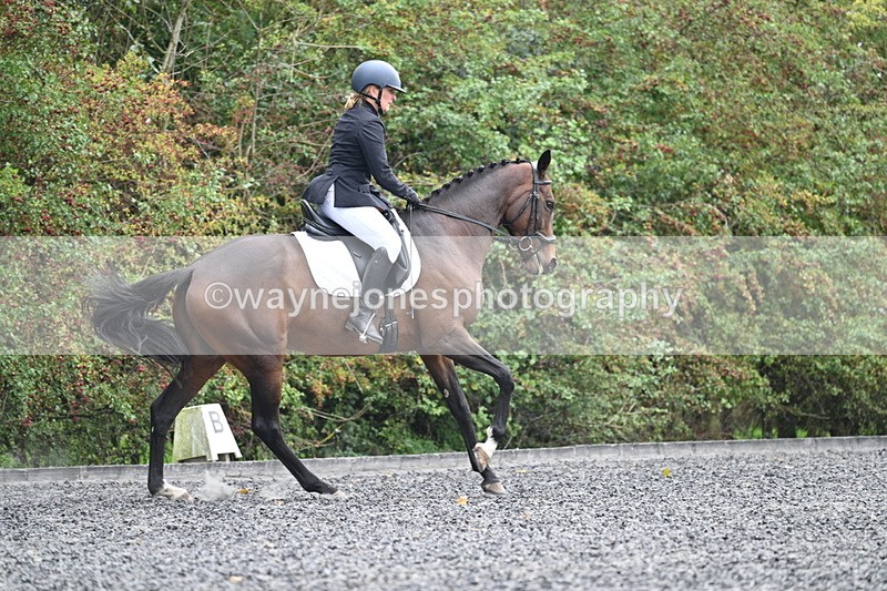 WJ7_3894 - Time 11:04 to 11:38